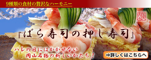 9種類の食材の贅沢なハーモニーばら寿司の押し寿司