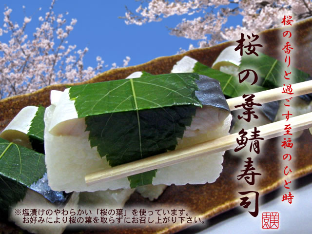 桜の香りと過ごす至福のひと時 桜の葉鯖寿司