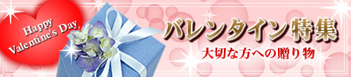 バレンタイン特集